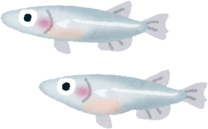 Illustration of Cute White Medaka Fish
